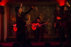 Cena y espectáculo flamenco en el tablao Corral de la Morería