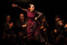 Cena y espectáculo flamenco en el tablao Casa Patas