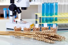 España e India fomentan la cooperación en I+D en biotecnología
