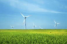 ‘Renewable Energy Global Investors Meet & Expo’ 